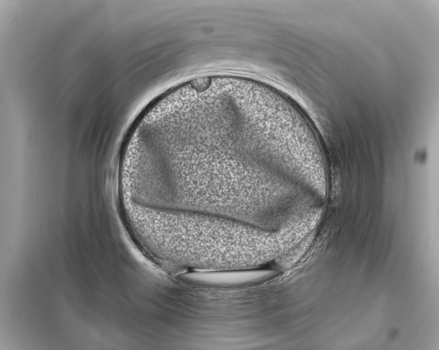 X0000099321515200805231413