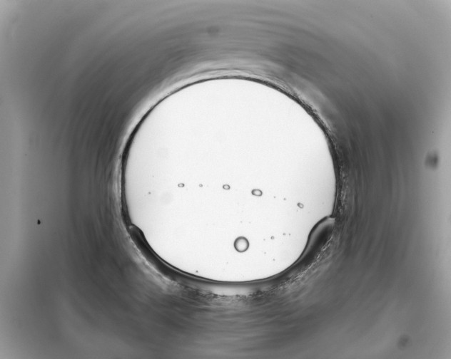 X0000099321516200805231413