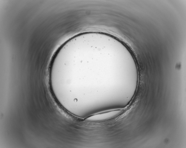 X0000099321517200805231413