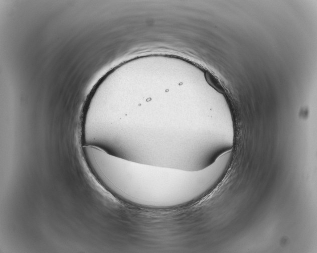 X0000099321518200805231414