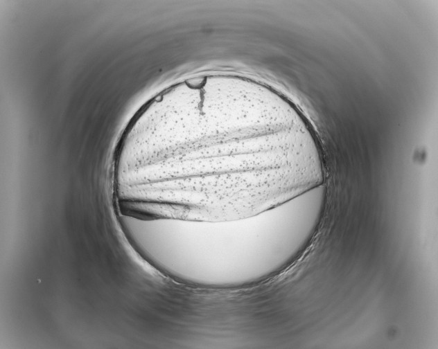 X0000099321519200805231414