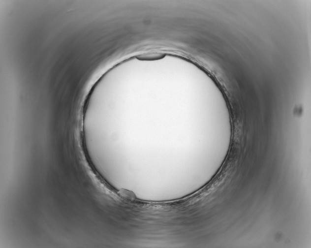 X0000099321520200805231414