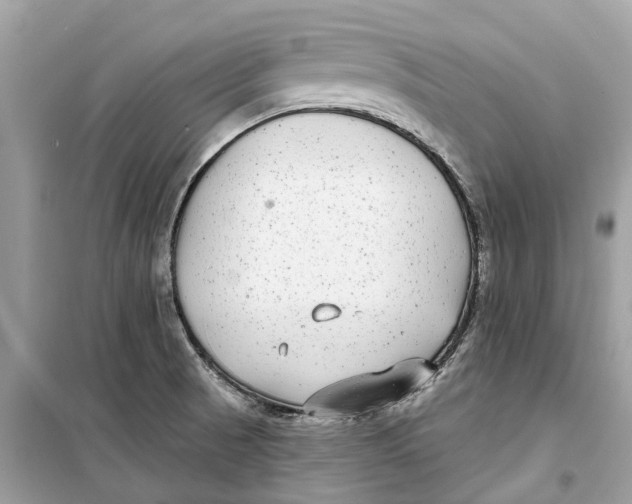 X0000099321521200805231414