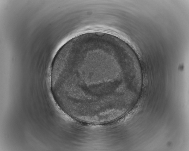 X0000099321522200805231414