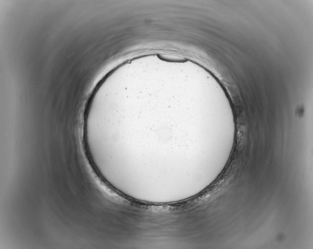 X0000099321523200805231414