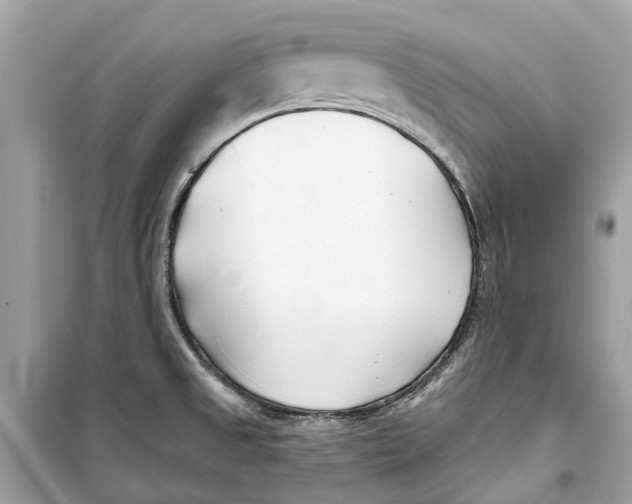 X0000099321525200805231414