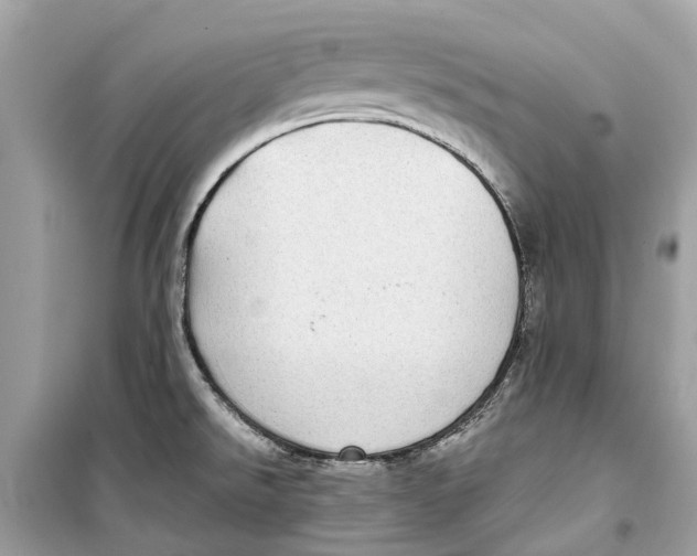 X0000099321526200805231414