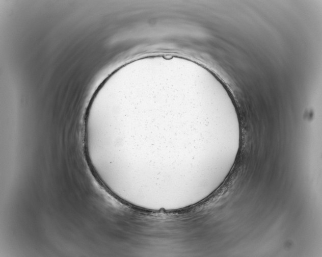 X0000099321527200805231414