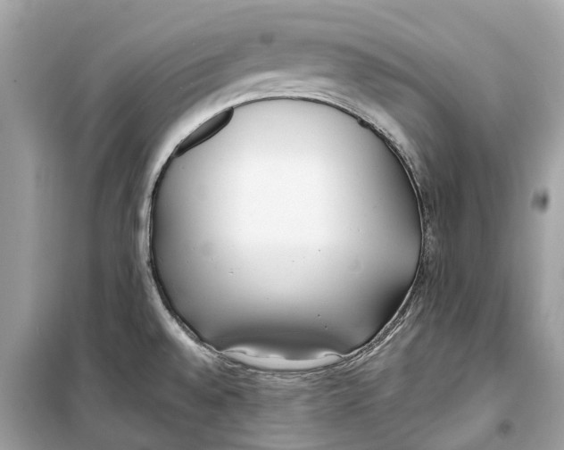 X0000099321528200805231414