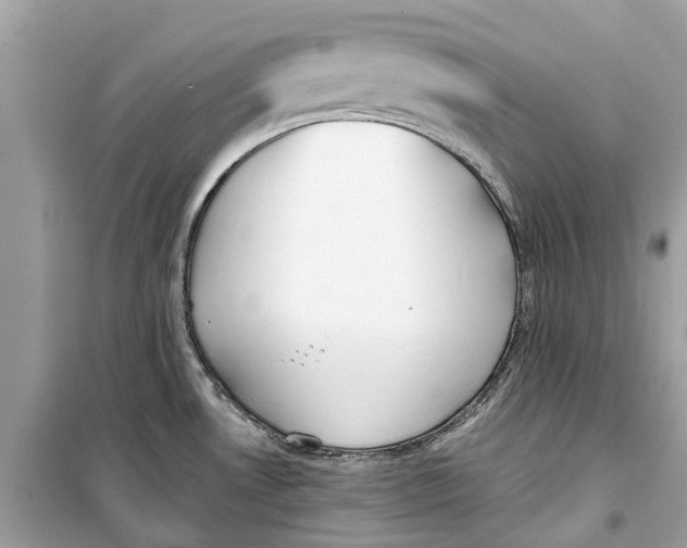 X0000099321530200805231414