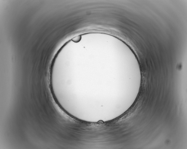 X0000099321531200805231414