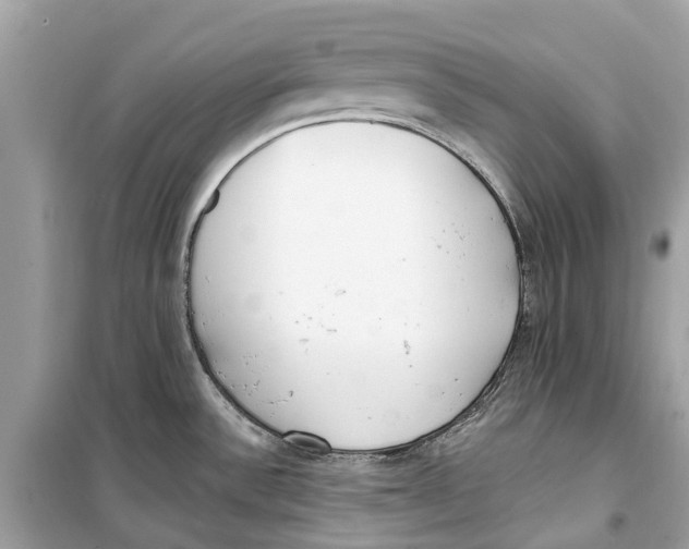 X0000099321532200805231414