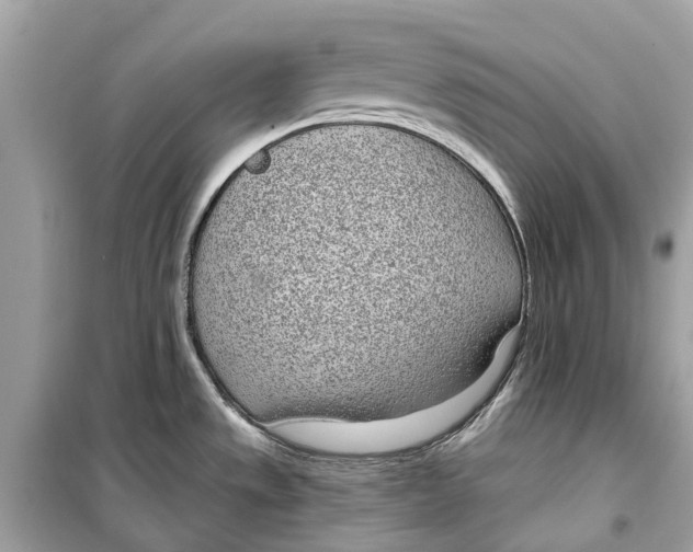 X0000099321533200805231414