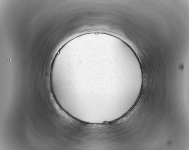 X0000099321534200805231414