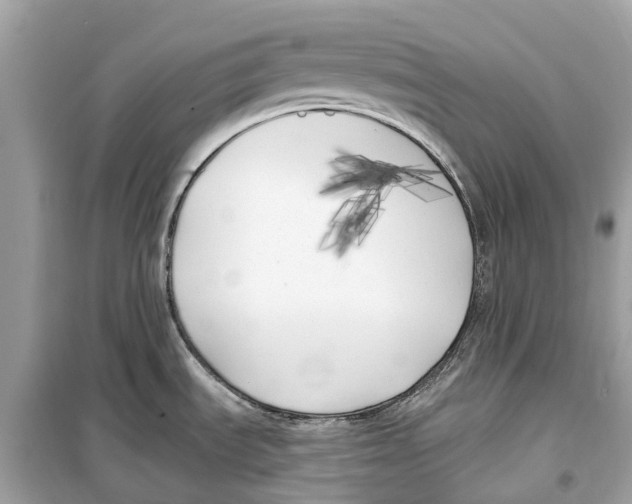 X0000099321535200805231414