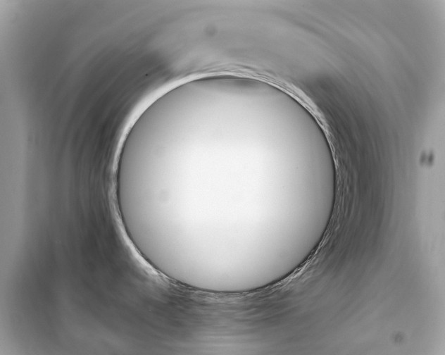 X0000099321536200805231414