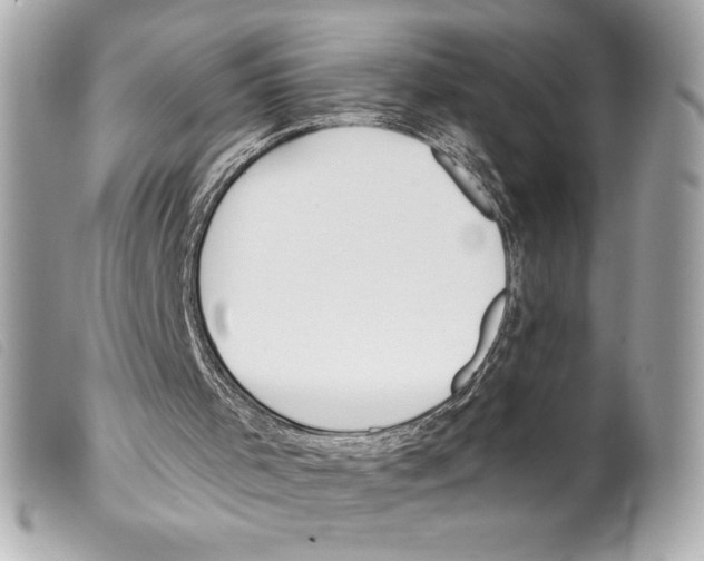 X0000099320001200805301226