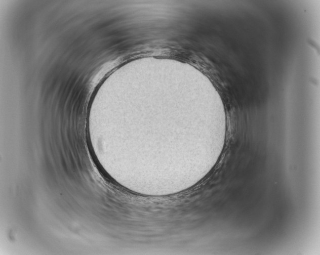 X0000099320003200805301226
