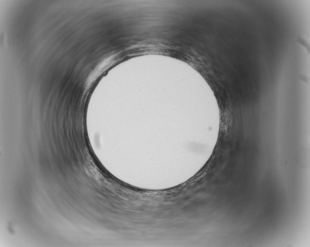 X0000099320004200805301226