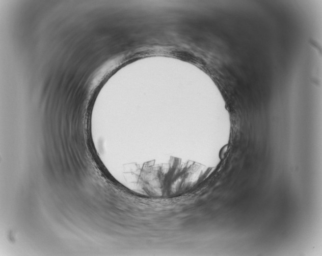 X0000099320006200805301225