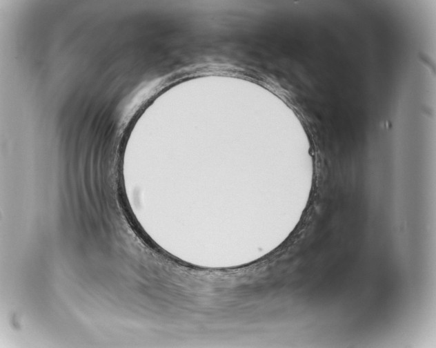 X0000099320007200805301225