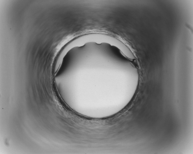 X0000099320008200805301225