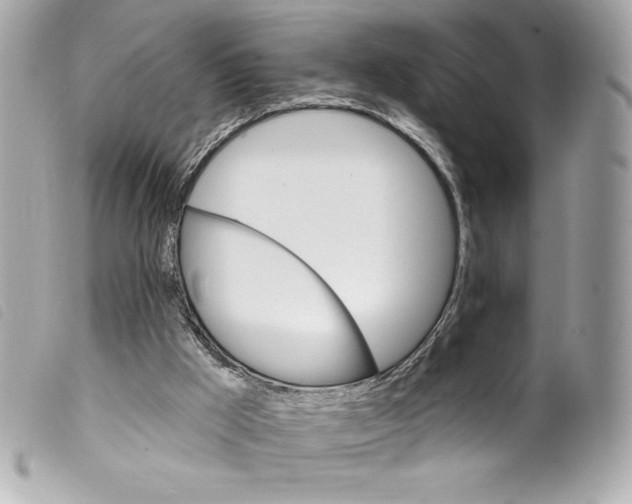 X0000099320009200805301225