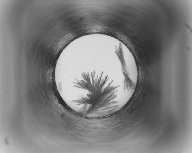 X0000099320010200805301225