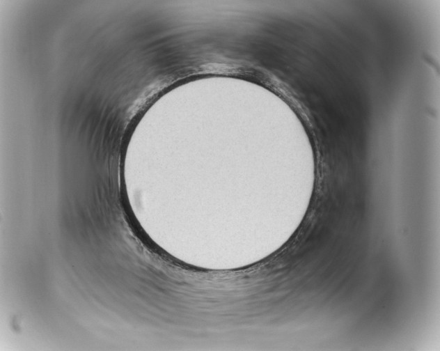 X0000099320011200805301225