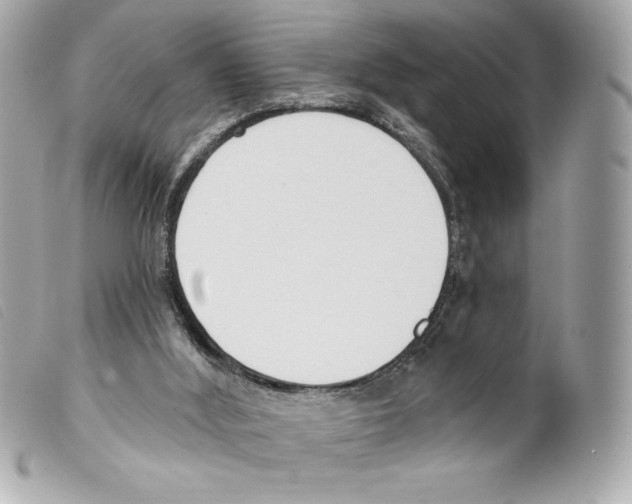 X0000099320012200805301225