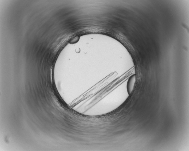 X0000099320014200805301225