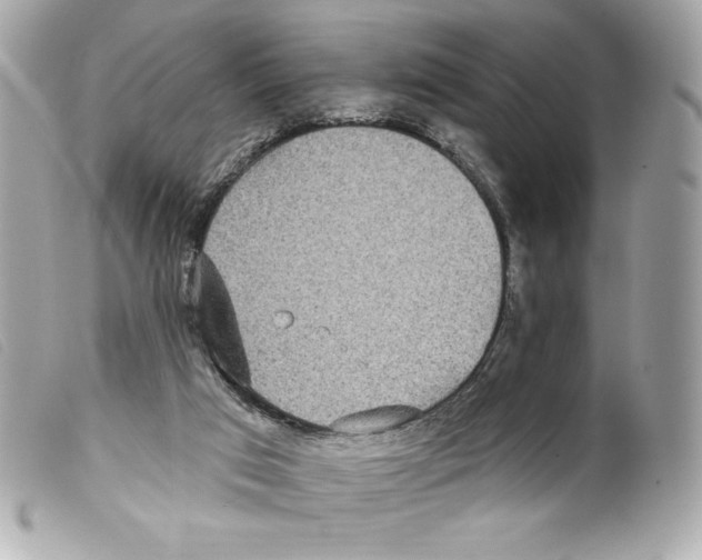 X0000099320017200805301225