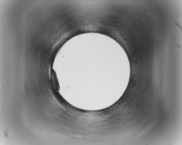 X0000099320020200805301225