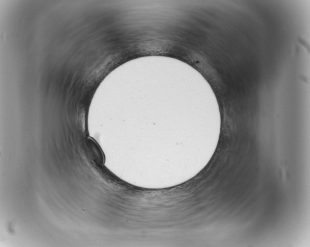 X0000099320021200805301225