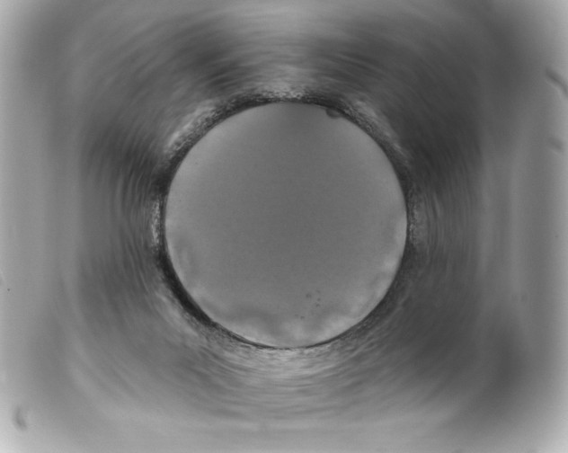 X0000099320023200805301225
