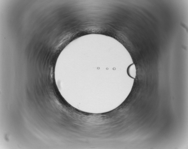 X0000099320024200805301225