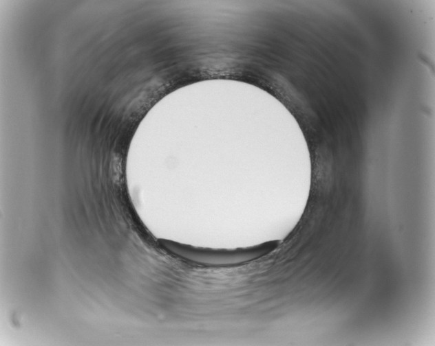 X0000099320025200805301225