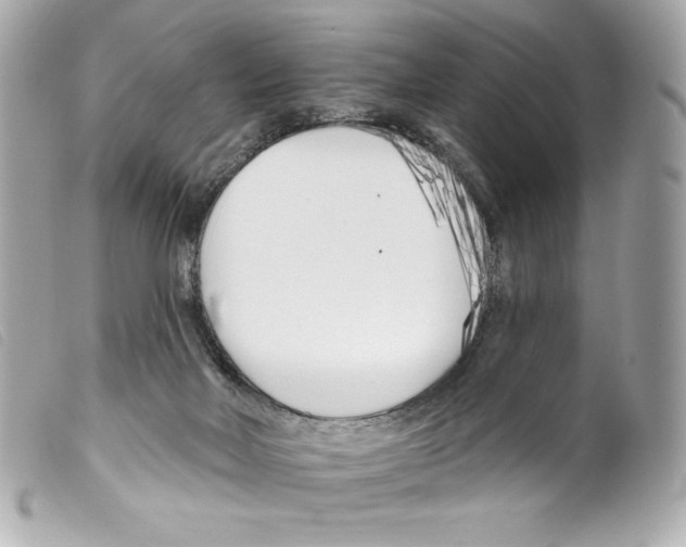 X0000099320026200805301225