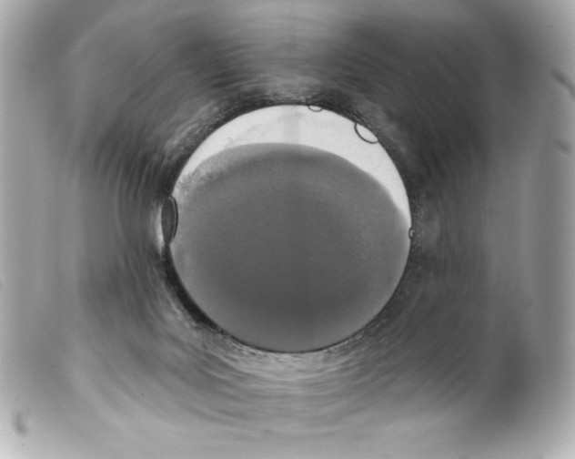 X0000099320027200805301225