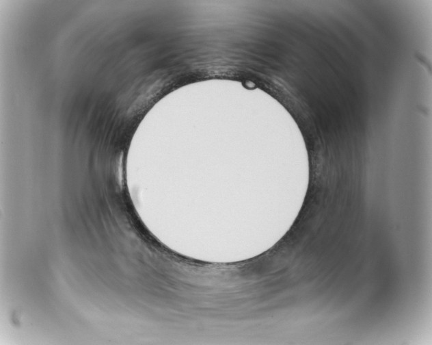 X0000099320028200805301225