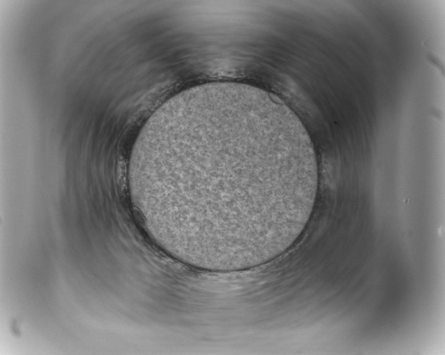 X0000099320029200805301225