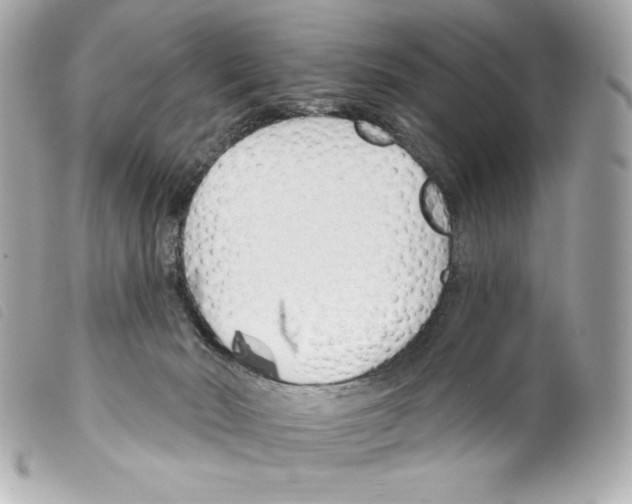 X0000099320030200805301225