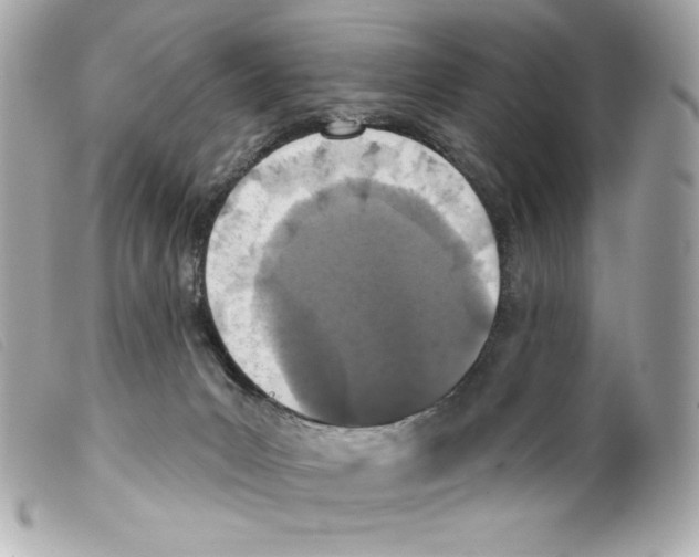 X0000099320031200805301225