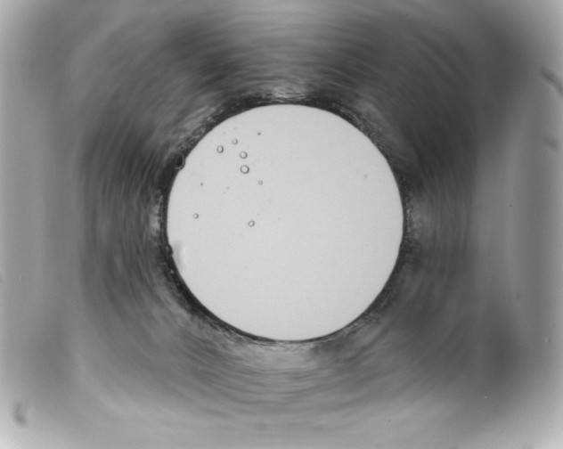 X0000099320032200805301225