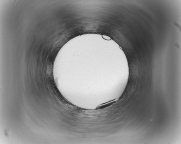 X0000099320033200805301225