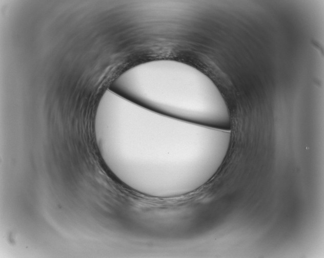 X0000099320035200805301225