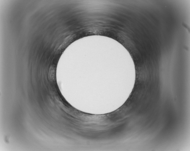 X0000099320036200805301225