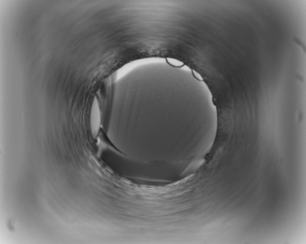 X0000099320039200805301225