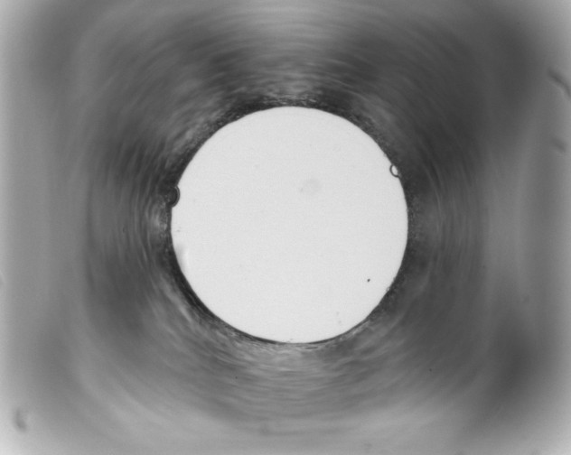 X0000099320040200805301225