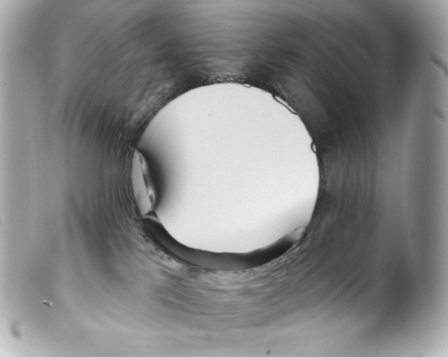 X0000099320041200805301225